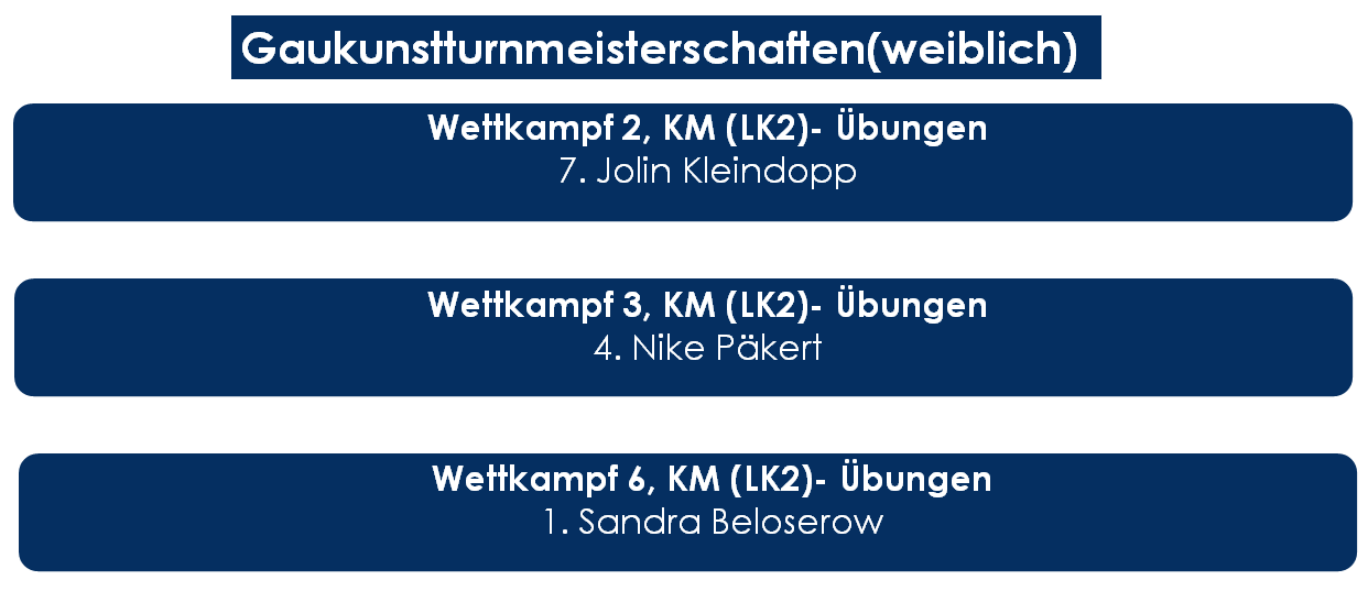 Ergebnis Gaukunstturnmeisterschaften 2024